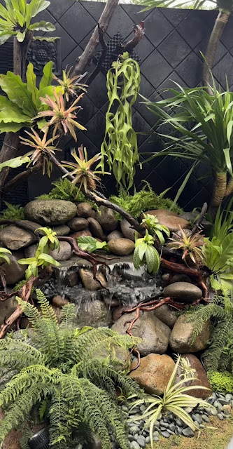 Kolam koi natural