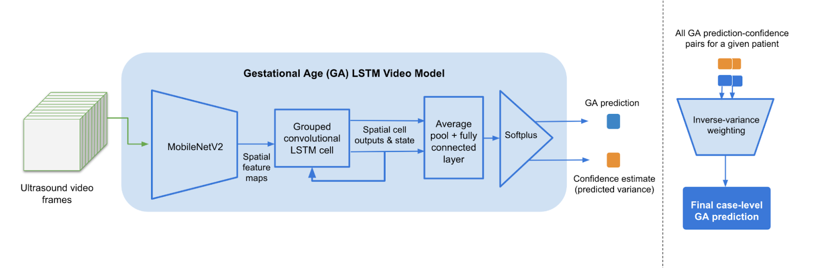 Flow chart depicting Gestational Age LSTM Video Model