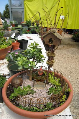 miniature garden plants