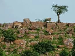 Picture of Govardhan Hill