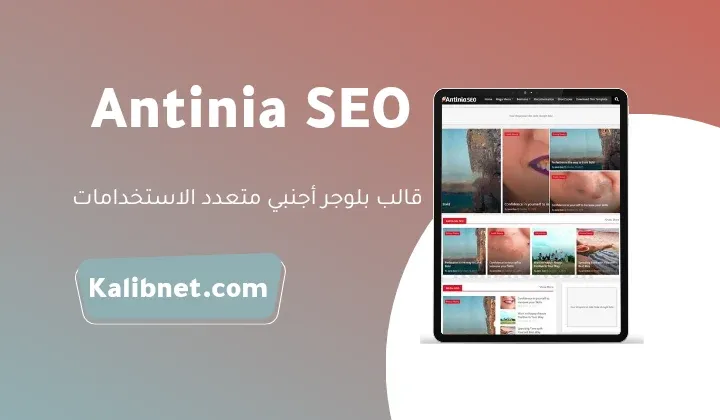 Antinia SEO Blogger Template