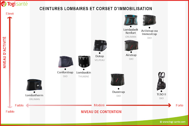 tableau récapitulatif sur les ceintures dorsales