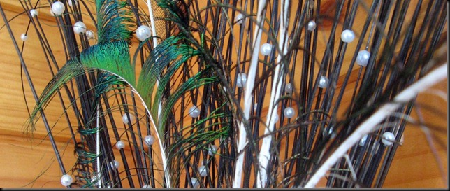 feather