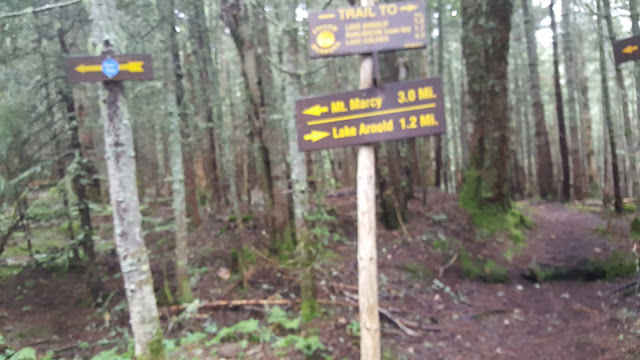 Sentier vers le mont Marcy