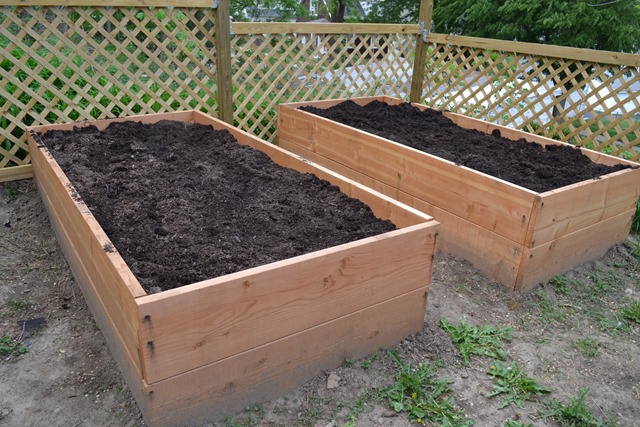 Garden Bed 12