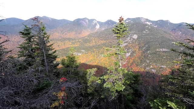 Vue à partir du mont Colvin dans les Adirondacks