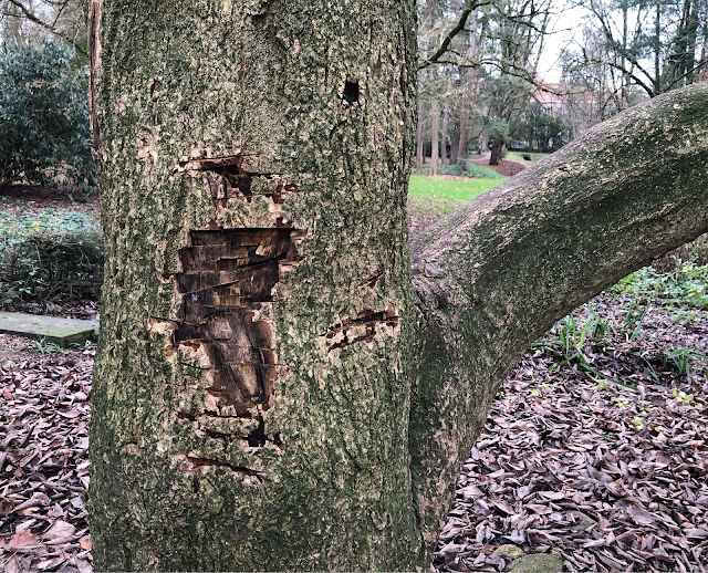 Pareidolie, Gimbornhof, Zevenaar