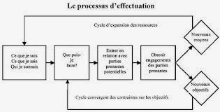 Le processus entrepreneurial effectual