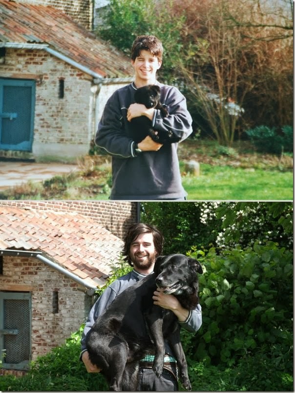 Antes e Depois de Animais de Estimação (21)