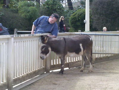 John petting the donkey's head, that is hip high over the fence