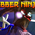 Rubber Ninjas – Evolution of Ragdoll Fighting