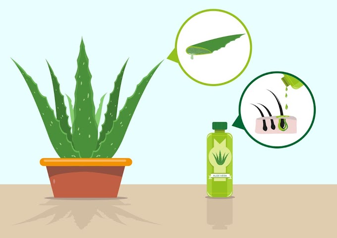 Take Care of Your Hair! A Homemade Recipe for Aloe Vera Conditioner