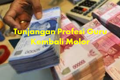 Tunjangan Profesi Guru TPG Kembali Telat Dicairkan, Simak Selengkapnya.....