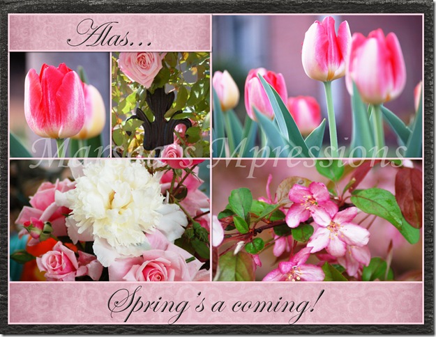 spring coming - pink flower collage copy w watermark