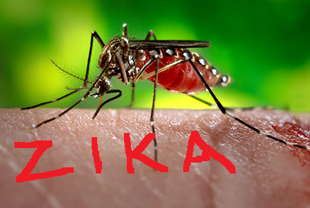 Zika: 5 Bahan Semulajadi Yang Boleh Menghalau Nyamuk 