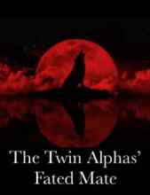 Read Novel The Twin Alphas Fated Mate by Obsidian Full Episode