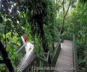 Hutan Kota Terindah dan Bersih