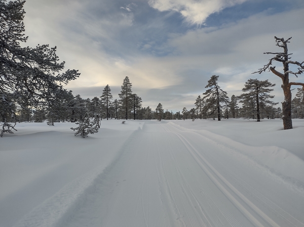 vikerfjell ringerudsetera søndre flåtjern