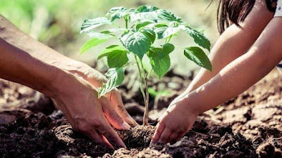 বৃক্ষরােপণ - বাংলা রচনা | Bengali Essay on Tree Plantation | Bangla Paragraph Writing for Class III - VI