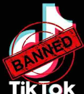 Tick   Tock Ban, Majority Of People Support The Government Decision