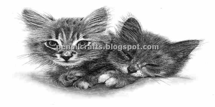 How to Make Cartoon Cat Color Pencil Drawings,Sketches