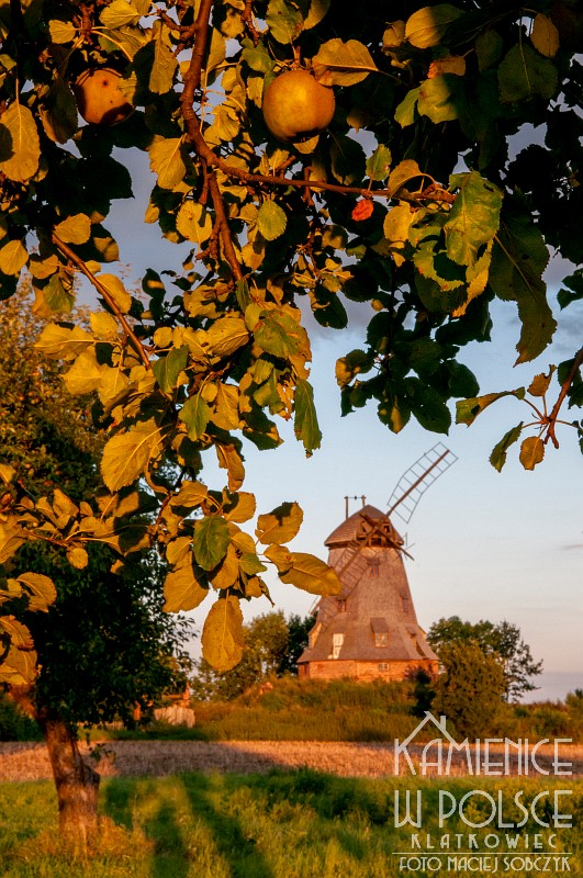 Żuławy. Podróż. Trip. Wyprawa. Olendrzy. Holandia. Wiatrak. Palczewo.