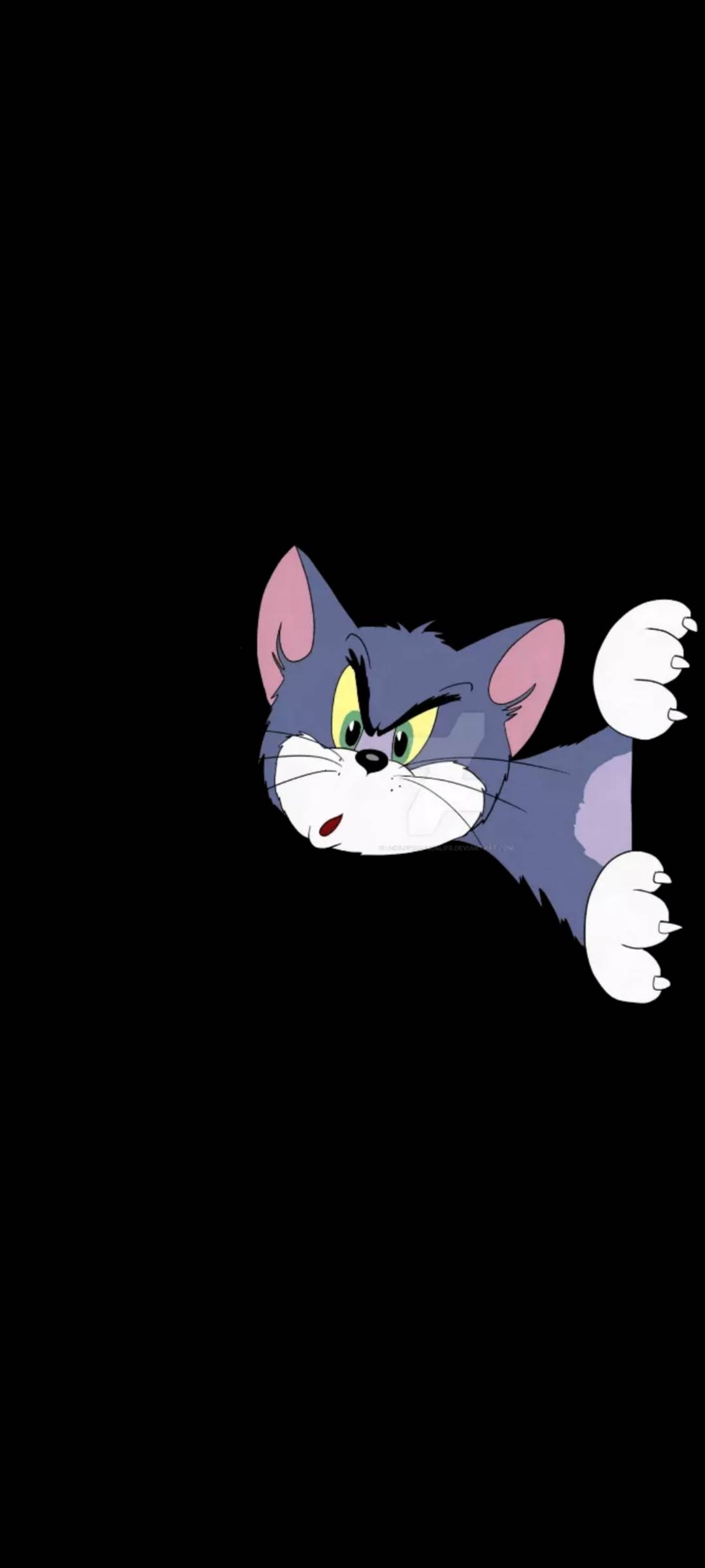 Free download The Tom and Jerry Show iPhone Wallpapers Free Download  750x1334 for your Desktop Mobile  Tablet  Explore 26 The Tom And Jerry  Show Wallpapers  Jerry Rice Wallpaper The