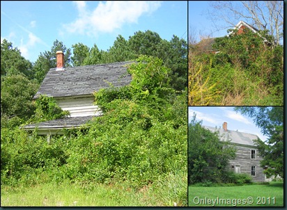 hidden homes collage