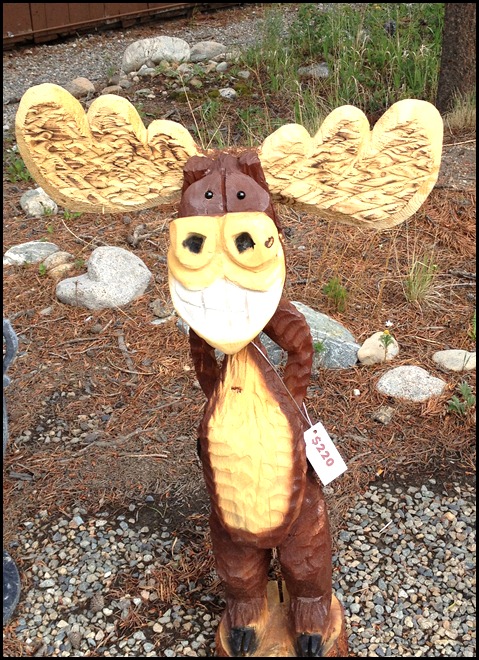 Breckenridge Bike Ride 7-25-12 (6)