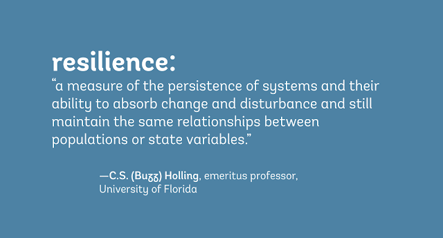 'A measure of the persistence of systems and their ability to absorb change and disturbance and still maintain the same relationships between populations or state variables.'