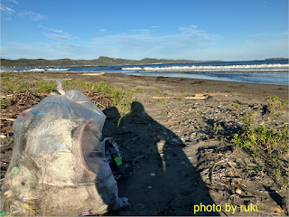 ビーチクリーン（beach cleaning)
