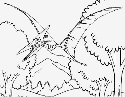 Kids simple line drawing on the wing flying a soaring Pteranodon dinosaur image to color and print