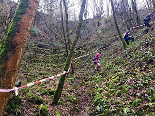 Trail de La Primavera 65km