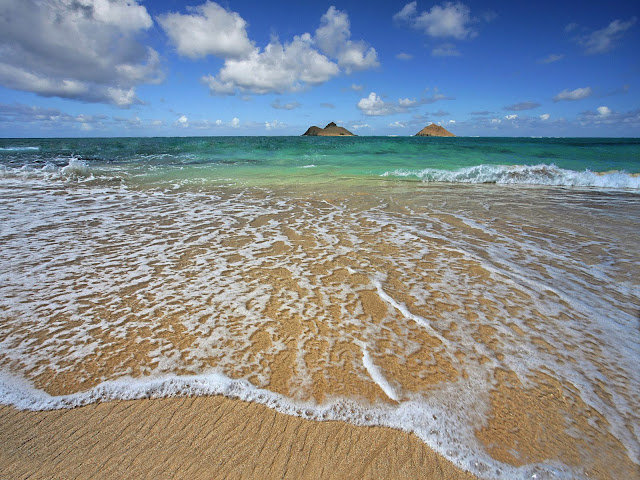 bottle in the sea