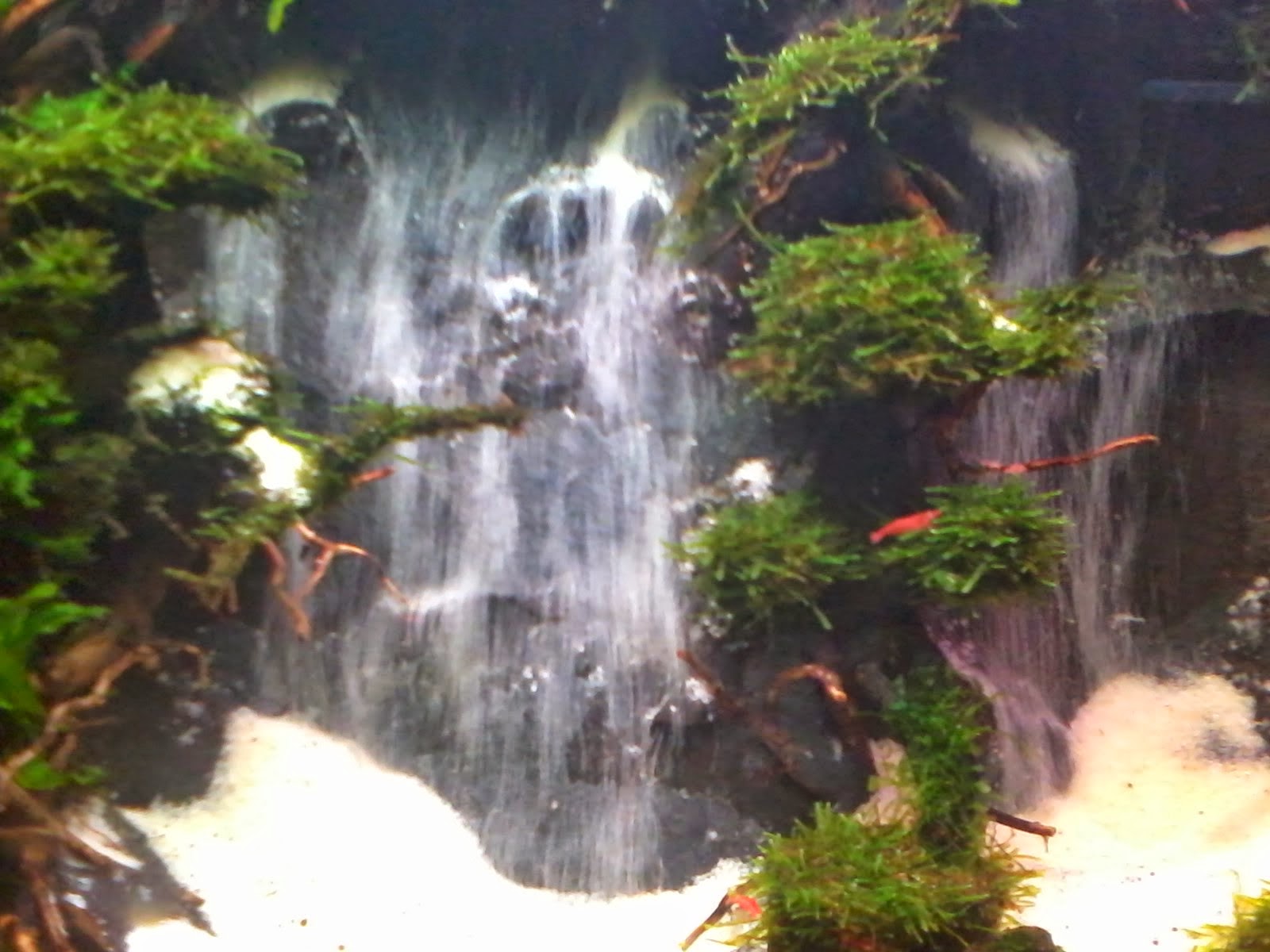 PIRDOT: Contoh Desain Air Terjun Aquscape (waterfall)