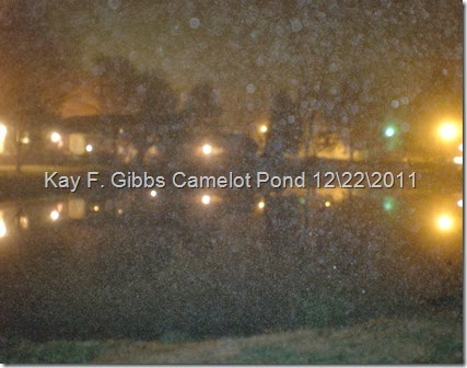 Images 2012 3419