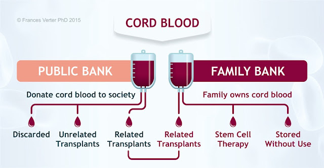 cord blood banking malaysia
