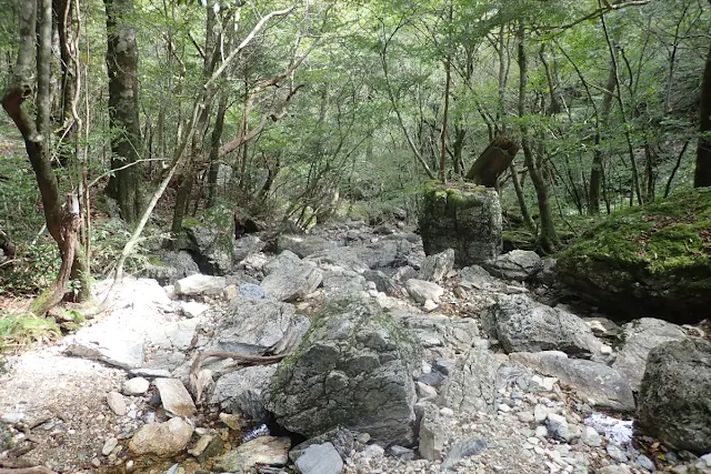 山の中の沢