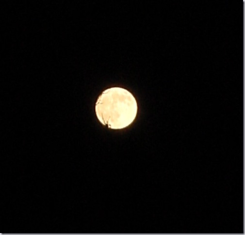 December Full Moon - Taken 12/1