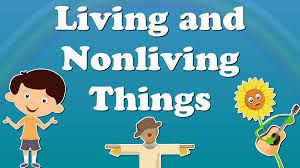 Lesson Planning on Living and non Living Things