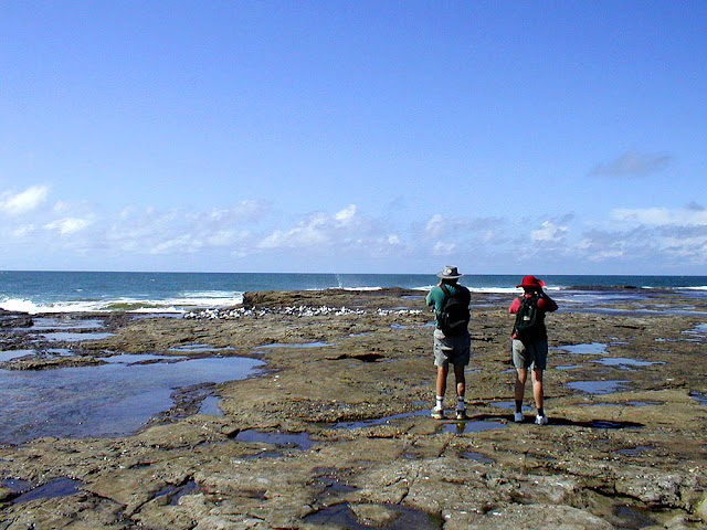 Birdwatching from shoreline rocks, New South Wales, Australia. Photo by Loire Valley Time Travel.