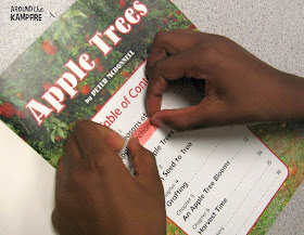 Highlighting collective nouns in nonfiction books about apples.