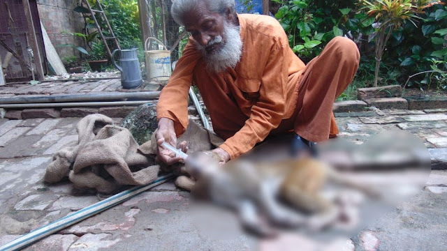 Monkey Man Shyam Sadhu -  Who spent his life to serve monkey
