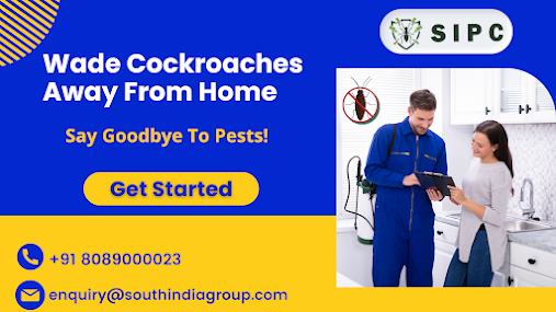 cockroach treatment in bangalore
