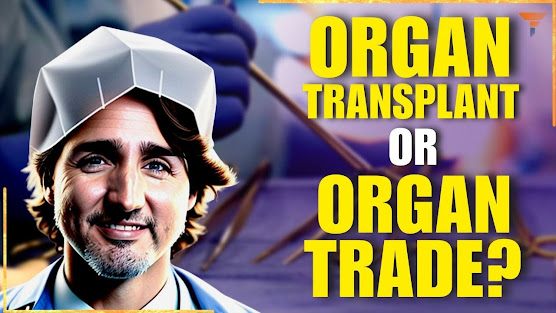 Canada MAID assisted suicide organ harvesting coercion brainwashing pressuring bioethics commodification