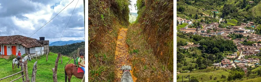 MORRO REYES Y ESCALONES ENTRE BOSQUES.