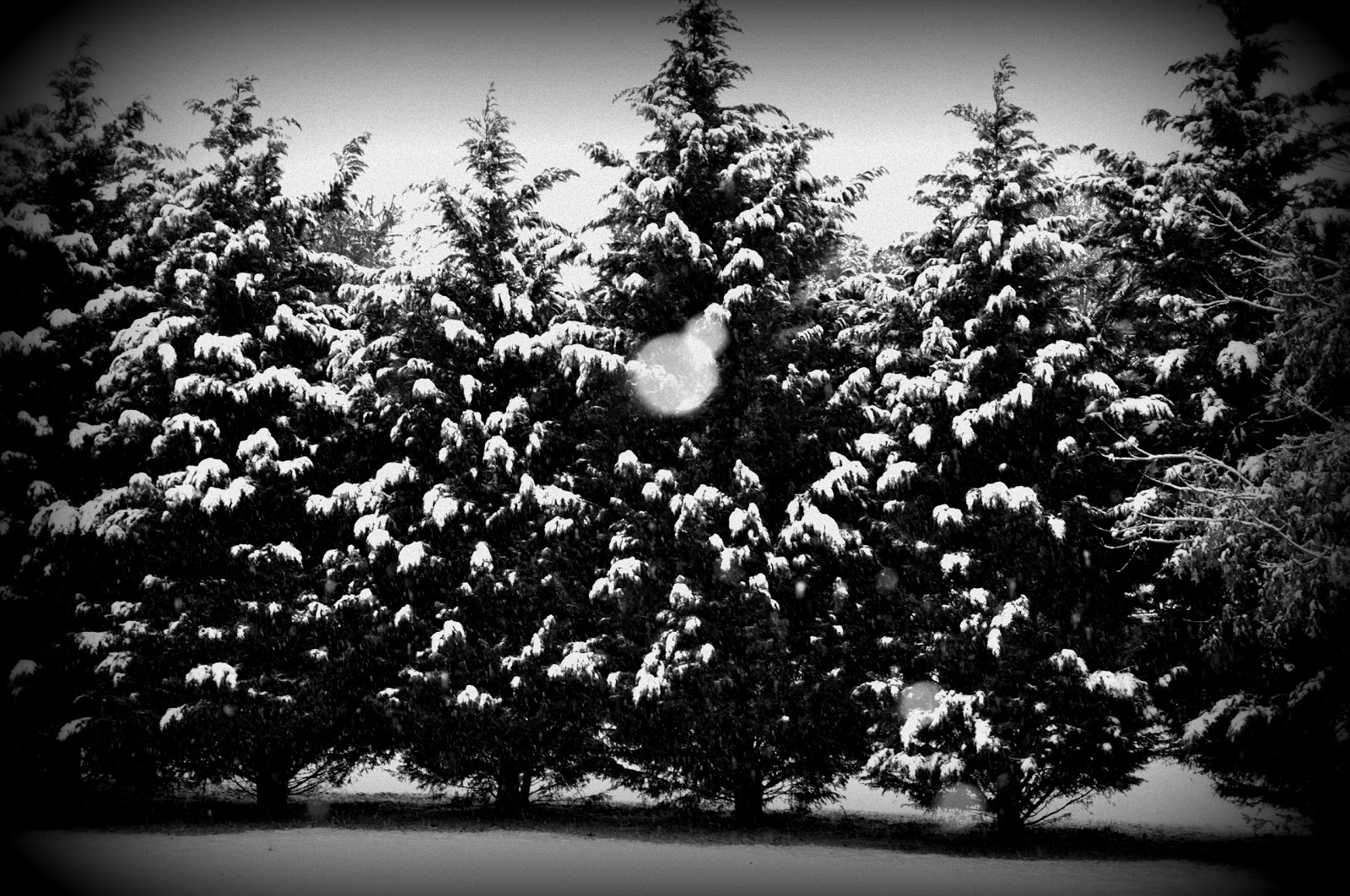 Christmas Pictures Black And White