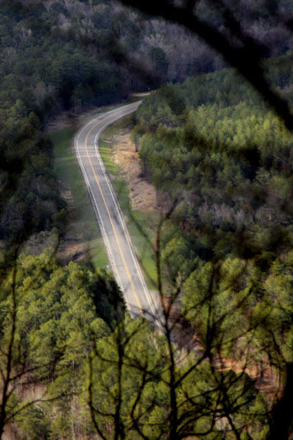 View of US Highway 259, Ouachita National Forest Oklahoma.