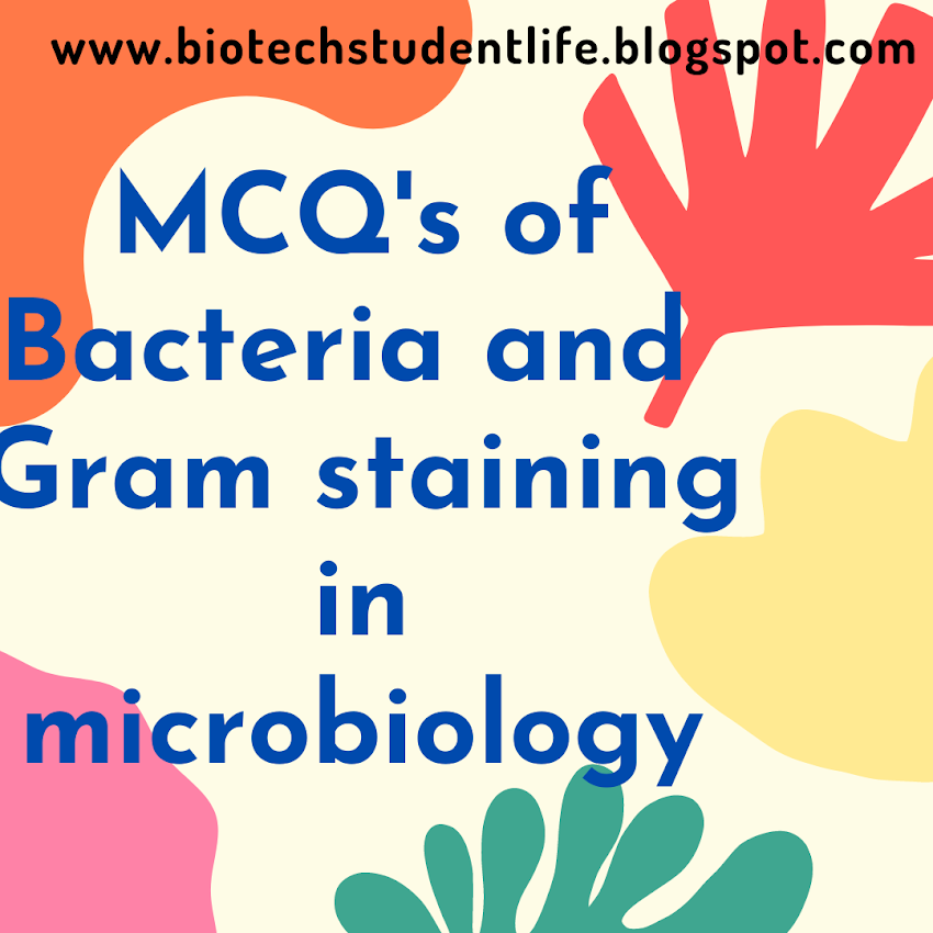 MCQ's of bacteria and gram staining in microbiology