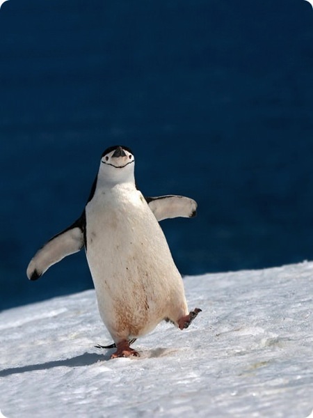 Image004632